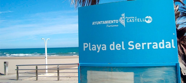 Guillamón: "A la situación concreta de esta playa se suman las deficiencias que presentan este verano otras zonas de nuestra costa, como el Parc Litoral"