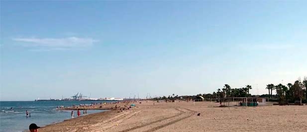 Carrasco: "Mientras unos dicen que hay que proteger los periodos de nidificación en la playa del Serradal del chorlitejo patinegro, otros dan la orden para llevarse la arena, precisamente de esta playa donde está anidando esta especie protegida"
