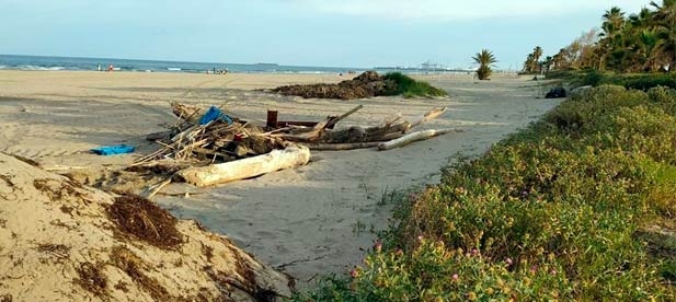 Carrasco: "Las playas ya llevan casi una semana abiertas a la ciudadanía y, además de estar todavía con restos de suciedad, seguimos sin conocer qué medidas de seguridad se van a adoptar"