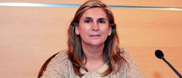 Querol: "Las afirmaciones de la Federaci&oacute;n de Asociaciones de Padres y Madres de Alumnos (FAPA-Penyagolosa) no tienen su reflejo en los informes de los t&eacute;cnicos municipales&rdquo;