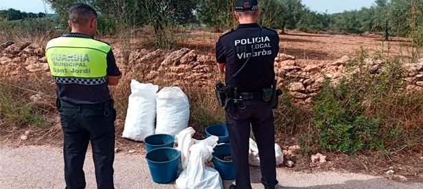 Ha hecho varias detenciones en colaboración con las policías de Vinaròs y Cálig, la Guardia Civil y los Mossos catalanes