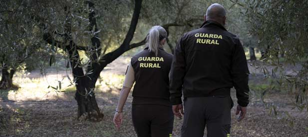 "La agricultura es tradición y pilar económico para nuestra tierra, y esta línea de ayudas es un ejemplo de que en la Diputación de Castellón trabajamos por preservar nuestro sector primario y proteger nuestro campo", destaca la dirigente provincial