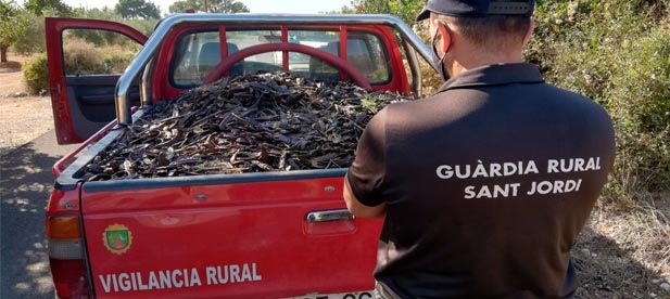 El Ayuntamiento ha reforzado la vigilancia nocturna e instalado más cámaras pese a no tener competencias en seguridad