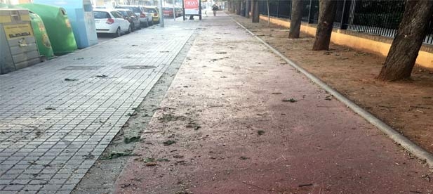 García ha destacado la parálisis del municipio con un cuatripartito "incapaz de atender las demandas de los vecinos, de gestionar el municipio y de solucionar los problemas del día a día"