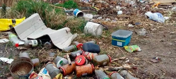 Pulgas en Casalduch, ratas en Sensal y San Vicente y cucarachas en avenida de Valencia