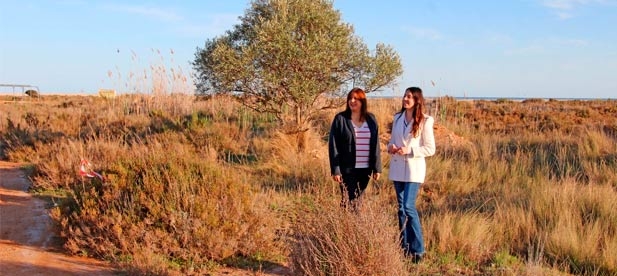 Fomento Urbano de Castellón impulsará este proyecto tras ultimar la compra de los terrenos en manos de la Sareb