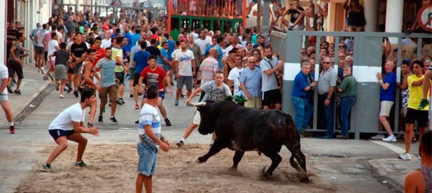 Vuelven los espectáculos taurinos y muchas actividades para atraer público después de superar lo más grave de la pandemia