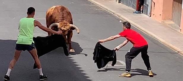 El concejal del PP, Cristian González, pide garantizar el bienestar de los animales e invertir en la compra de burladeros de hierro para los aficionados.