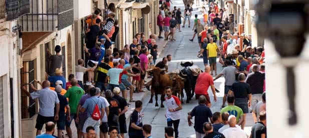 Marta Barrachina: "Los 'Bous al Carrer' son una seña de identidad de nuestros pueblos y, de acuerdo al apoyo y defensa que desde el Gobierno Provincial, lanzamos esta línea de ayudas para que las asociaciones encuentren en la Diputación un aliado"