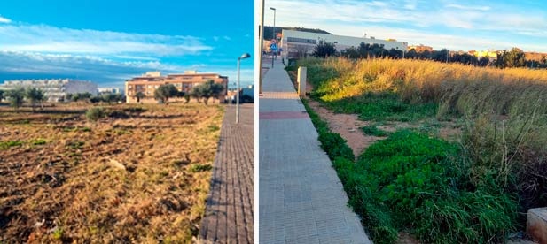 Terreno Torreblanca después y antes de realizar los trabajos de limpieza