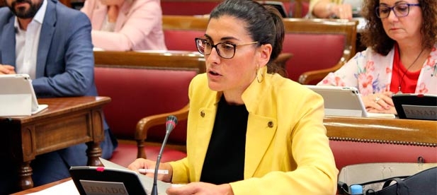 Mallol: "Es curioso que los que invirtieron cero euros en la provincia ahora critiquen la llegada de inversiones millonarias para Castellón"