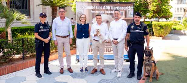 Finalizado el plazo, la Policía Local de Burriana podrá exigir la documentación pertinente, conllevando sanciones de entre 500 y 3.000 euros. Finalizado el plazo, la Policía Local de Burriana podrá exigir la documentación pertinente, conllevando sanciones de entre 500 y 3.000 euros.